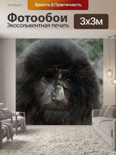 Фотообои Обезьяна