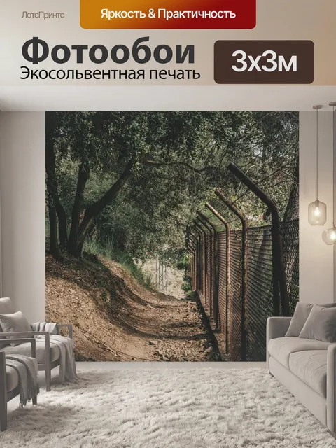 Фотообои Лес