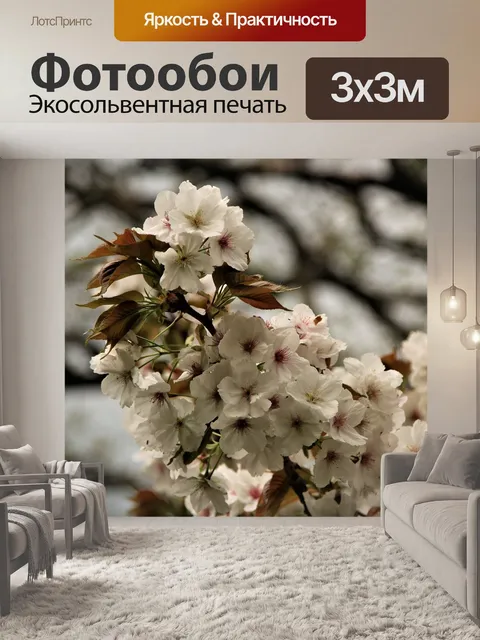 Фотообои Цветок