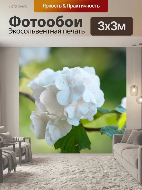 Фотообои Цветы