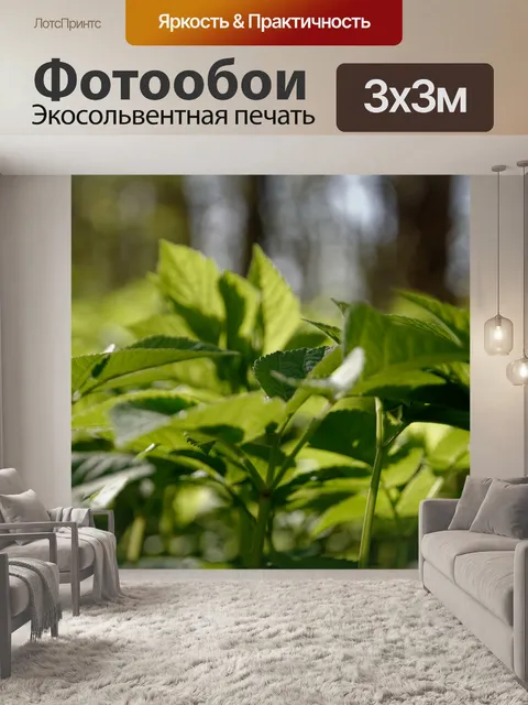 Фотообои Листья