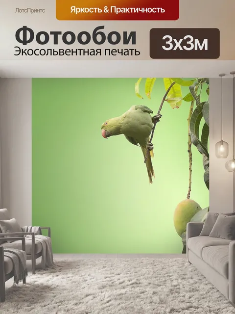 Фотообои Птица