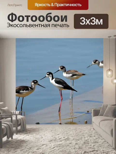 Фотообои Стилисты Птицы