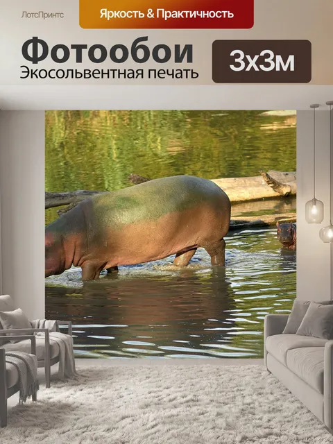 Фотообои Бегемот