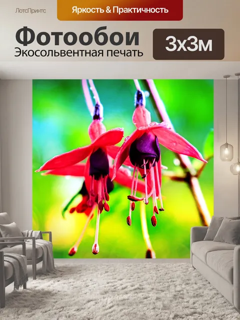 Фотообои Фуксия