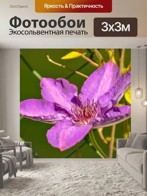 Фотообои Цветы