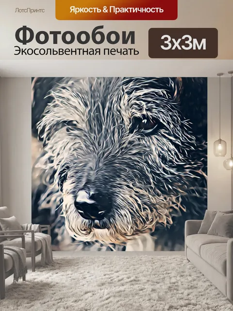 Фотообои Графика