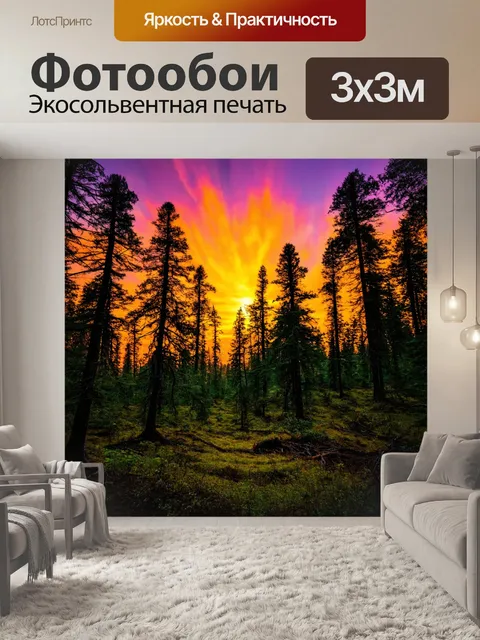 Фотообои лес, в котором закат окрашивает небо в ярко-оранжевые и фиолетовые тона