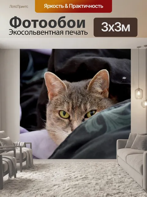 Фотообои Кошка
