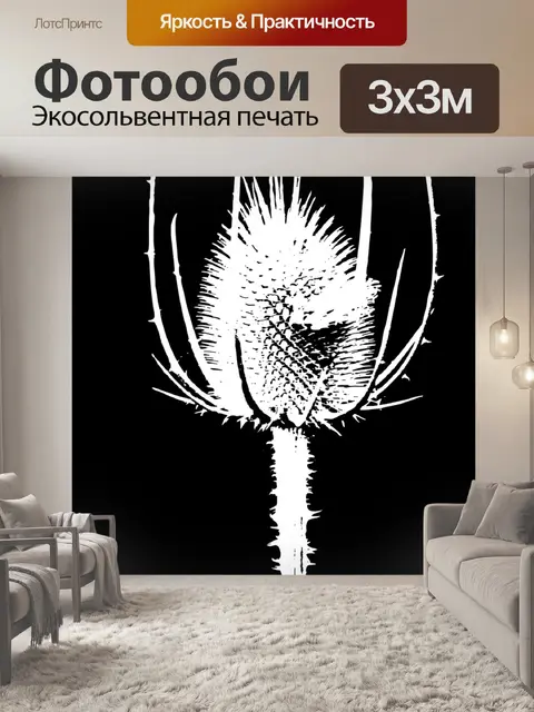 Фотообои Чертополох