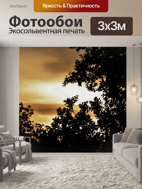 Фотообои деревья с закат