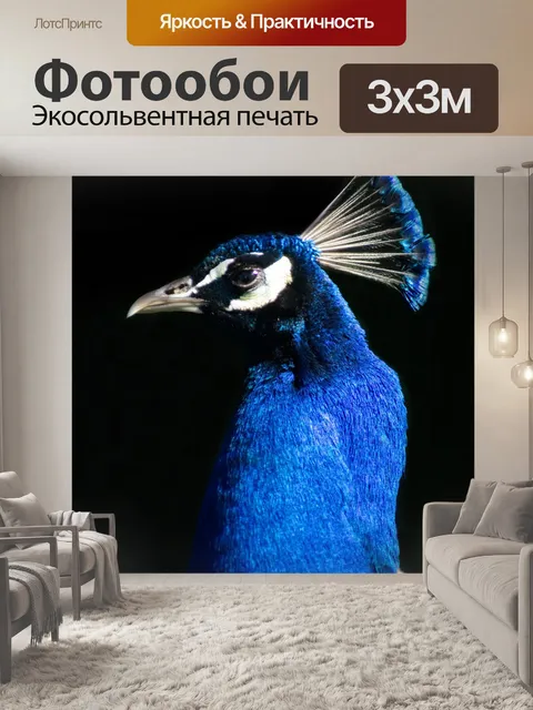Фотообои Павлин