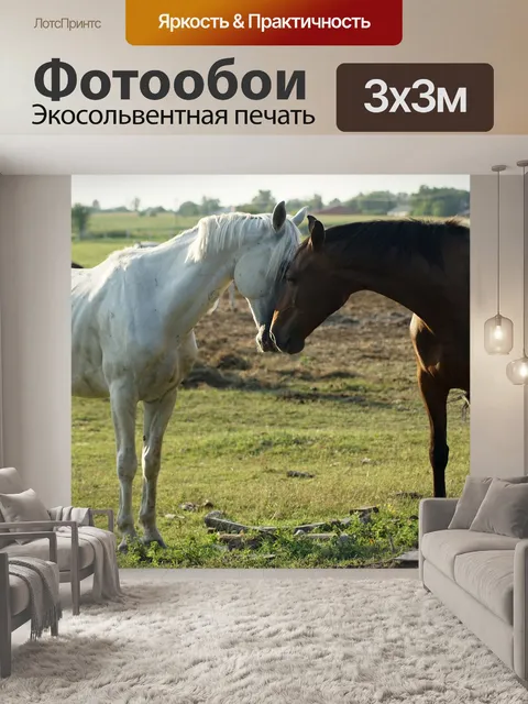 Фотообои Лошади