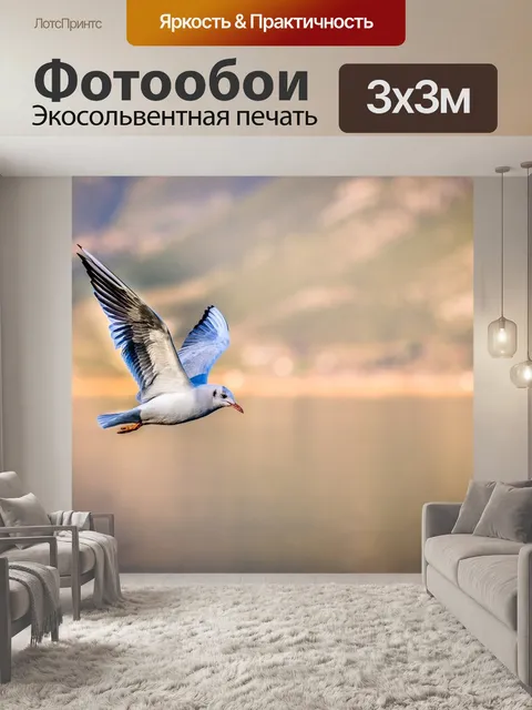 Фотообои Птица