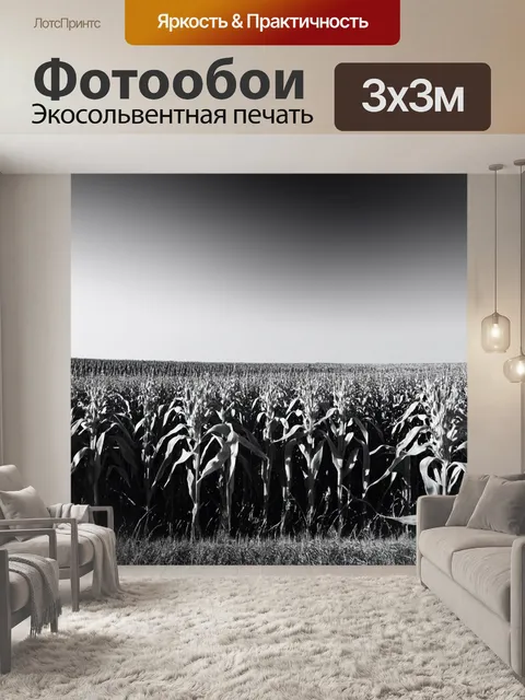 Фотообои черно-белый, изображающие обширные поля с колосьями, где ветер создает динамику, переданную с помощью…