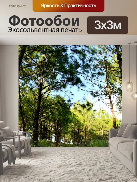 Фотообои Природа соснового леса в Фу Руа