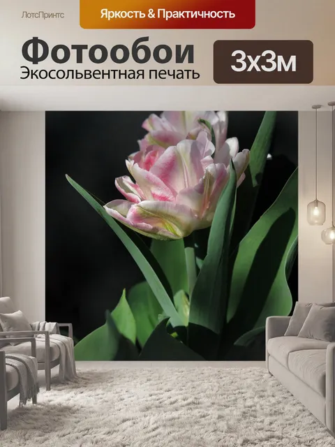 Фотообои Тюльпан