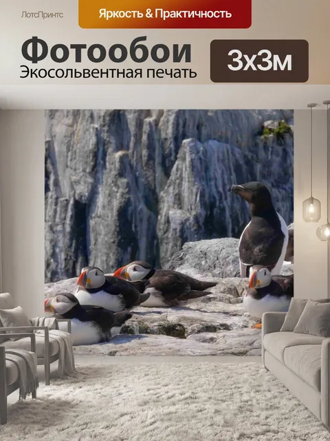 Фотообои Птицы