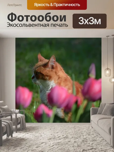 Фотообои Кошка