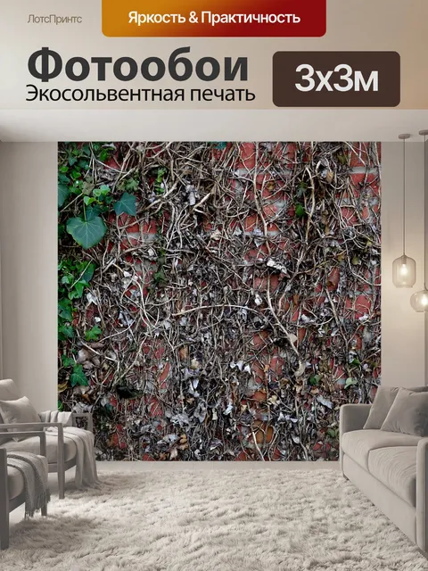 Фотообои Флора на садовой стене