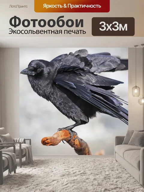 Фотообои Ворона