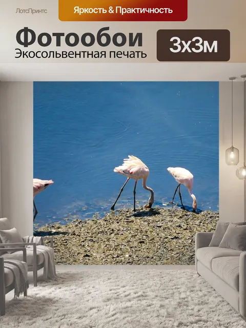 Фотообои Фламинго