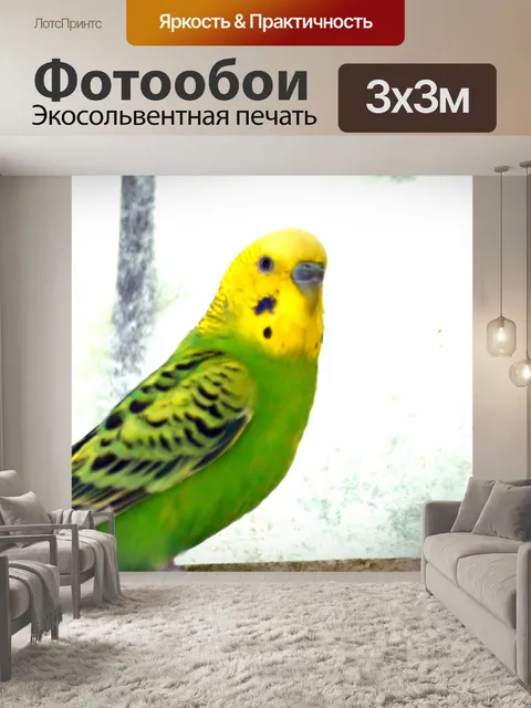 Фотообои Зеленый попугай