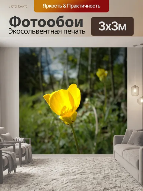 Фотообои Цветок