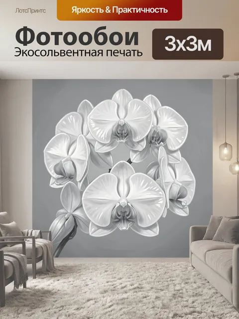 Фотообои Белые орхидеи на сером фоне