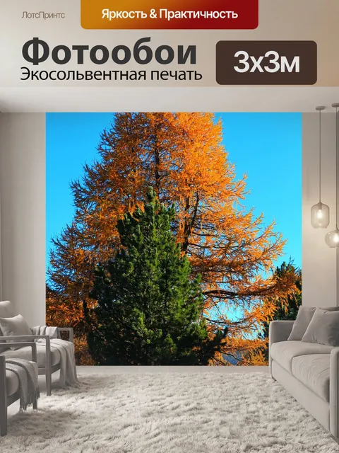 Фотообои Деревья