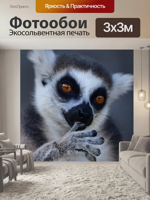 Фотообои Обезьяна