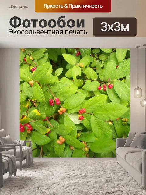 Фотообои Лесные ягоды