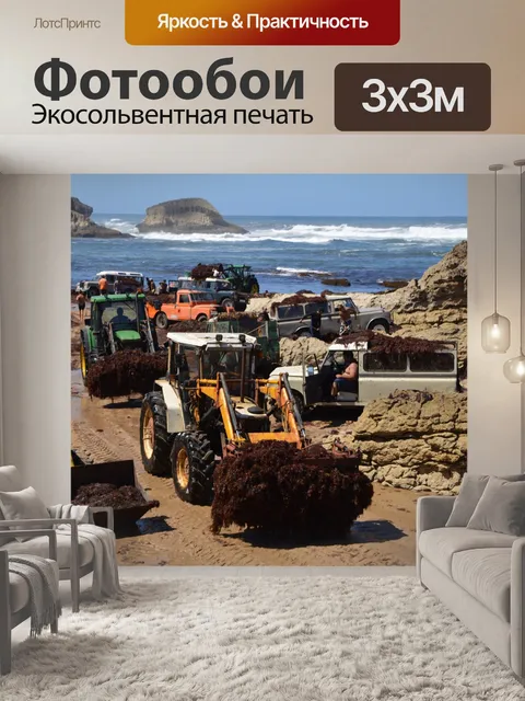 Фотообои Пляж
