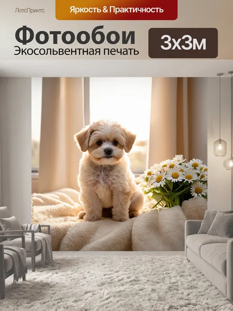 Фотообои Щенок маленькой породы