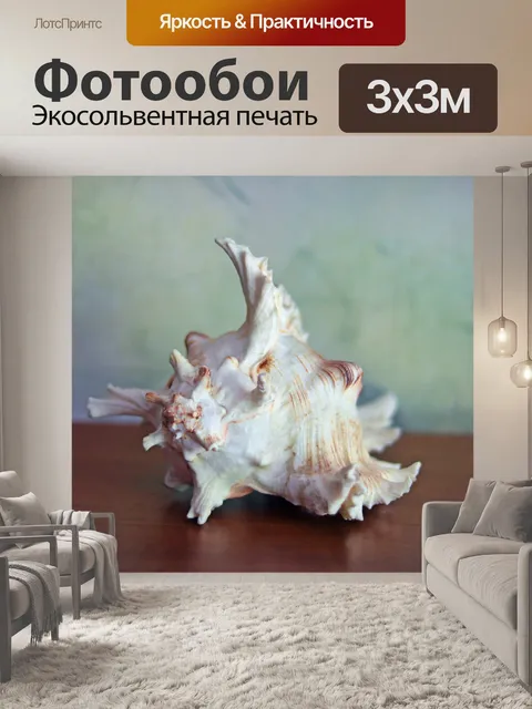 Фотообои Ракушка