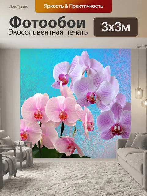 Фотообои Орхидеи
