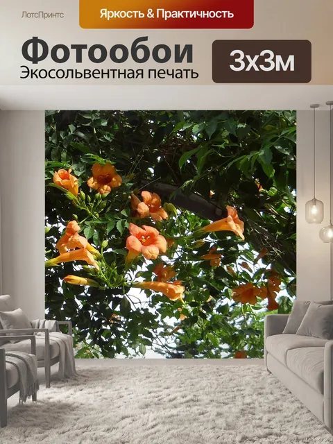 Фотообои Трубная лоза