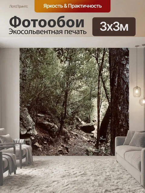 Фотообои Лес