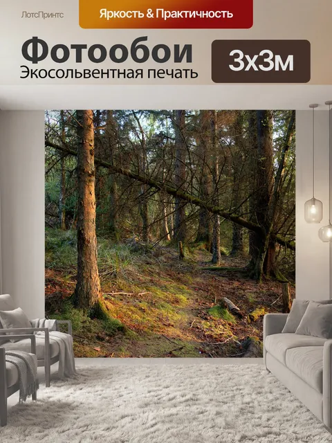 Фотообои Лесной массив