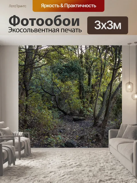Фотообои Темный