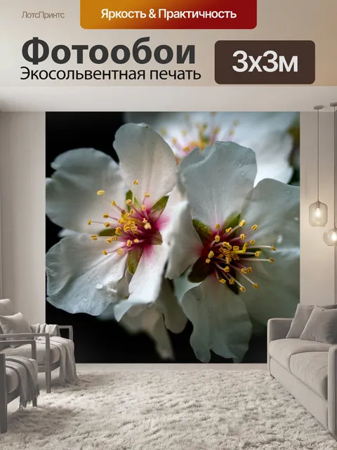 Фотообои Цветы