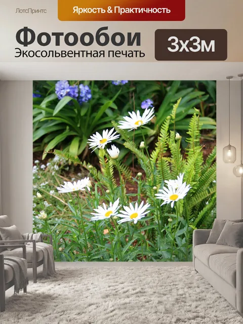 Фотообои белые ромашки в саду