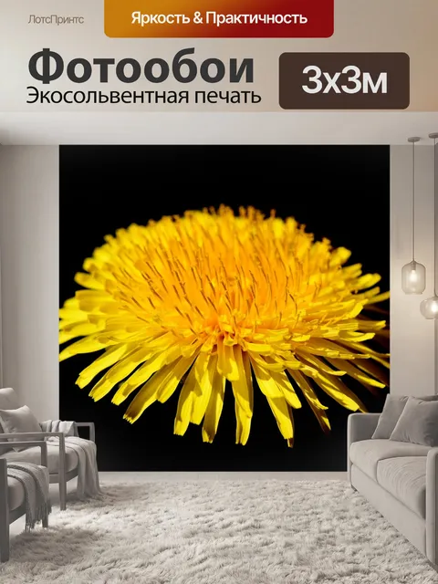 Фотообои Одуванчик цветок