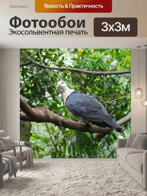 Фотообои Природа