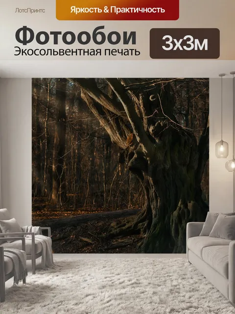 Фотообои Деревья