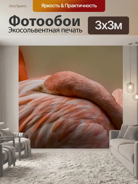 Фотообои Фламинго отдыхает