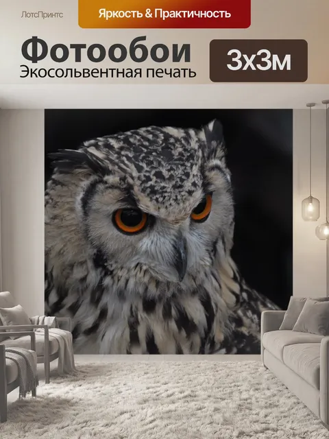 Фотообои Птица