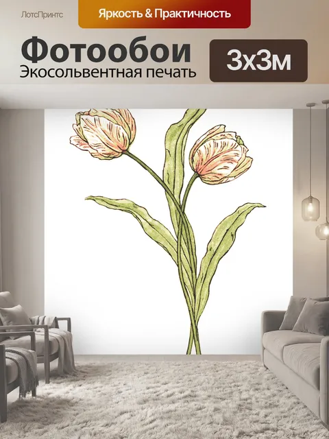 Фотообои Тюльпан цветы Иллюстрация