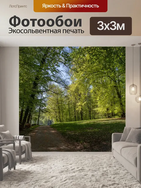 Фотообои Лес