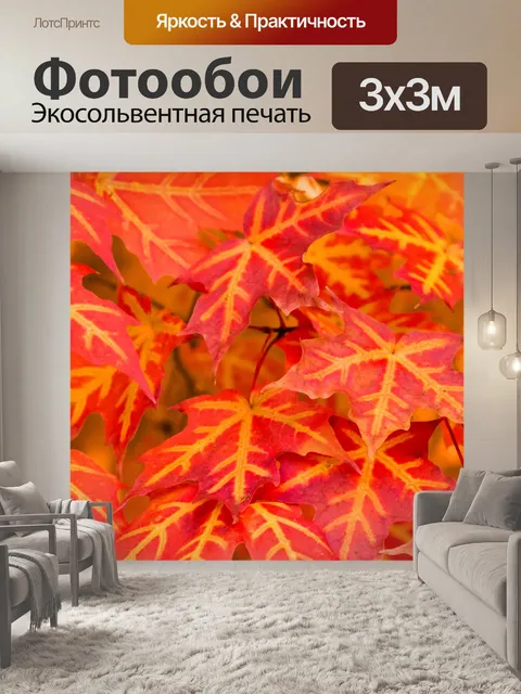 Фотообои Желтые и красные листья